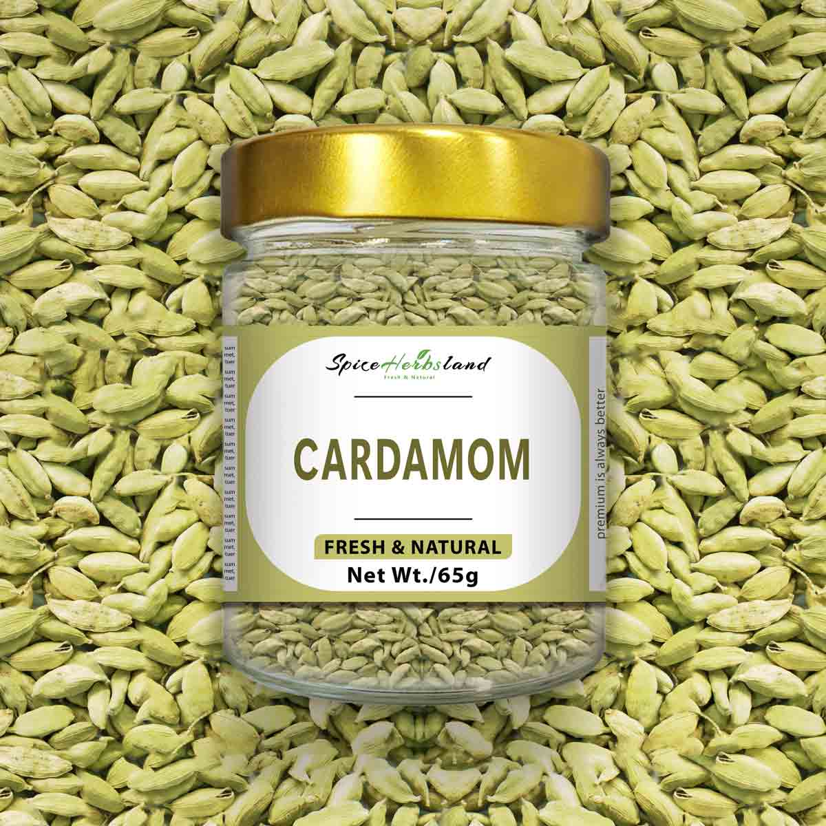 Cardamom-(SH12)