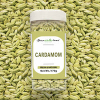 Cardamom_SH12_P