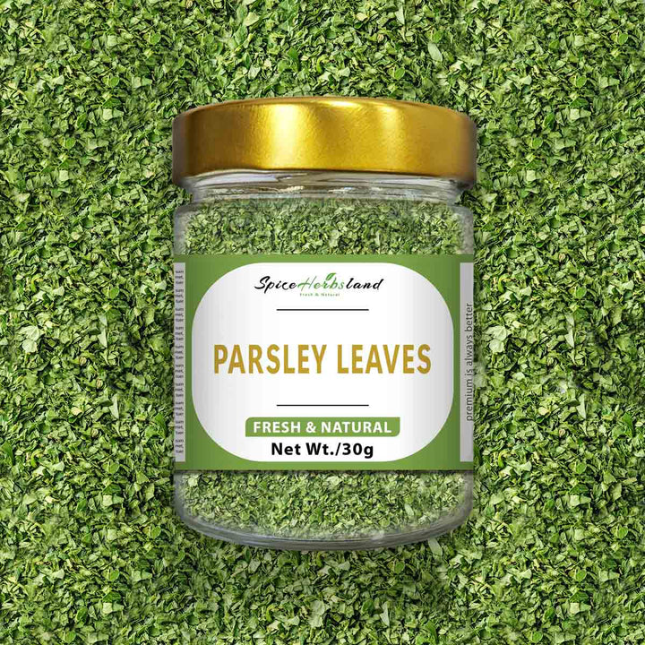 Parsley_leaves_SH36