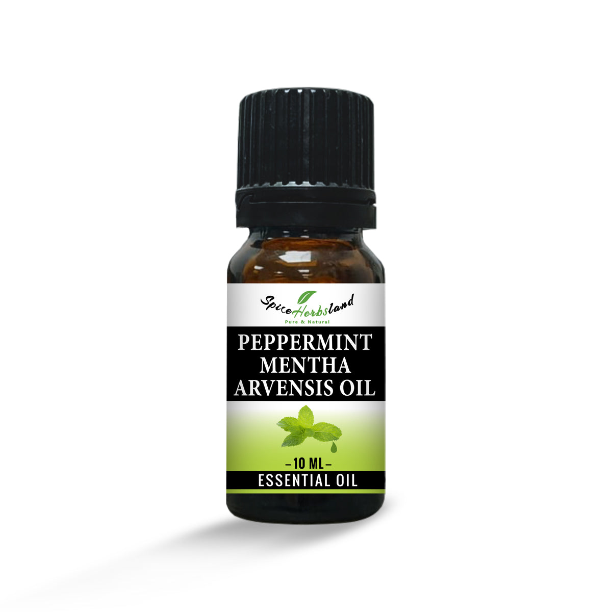 Peppermint_Mentha_Arvensis_Oil_E013