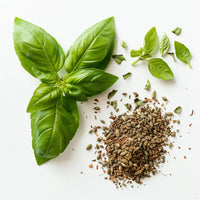Basil_SH30_2